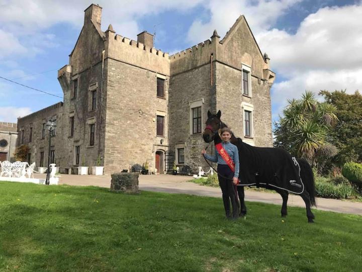 Ballea Castle Cork Zewnętrze zdjęcie